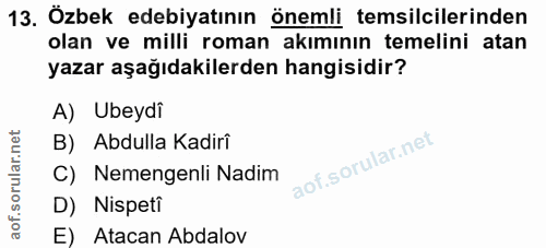 Soru 13