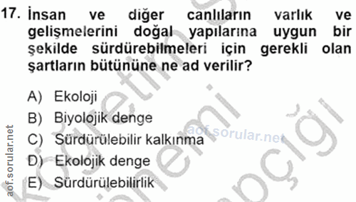 Soru 17
