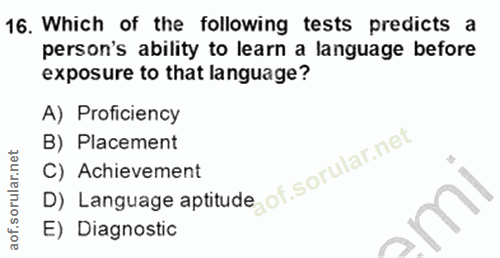 Soru 16