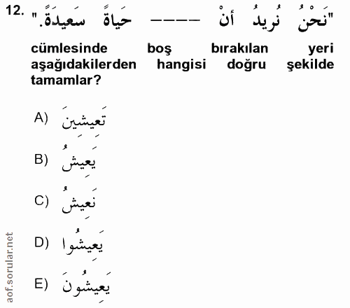 Soru 12