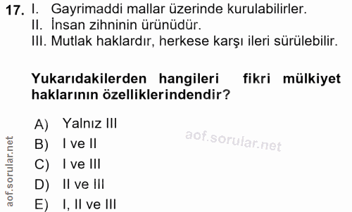 Soru 17