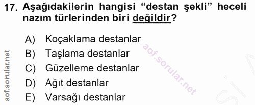 Soru 17