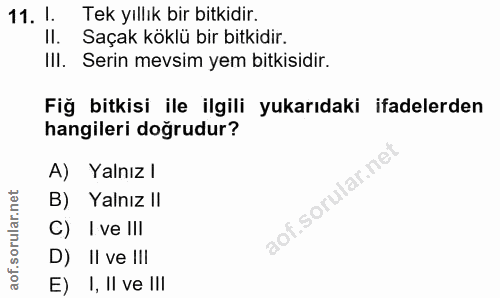 Soru 11