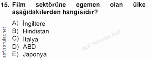 Soru 15