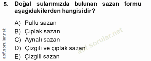 Soru 5