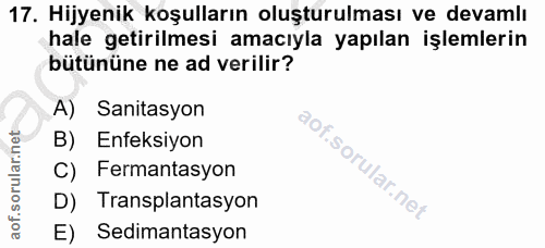 Soru 17