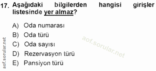 Soru 17