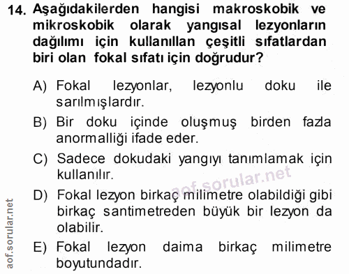 Soru 14