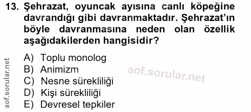 Soru 13