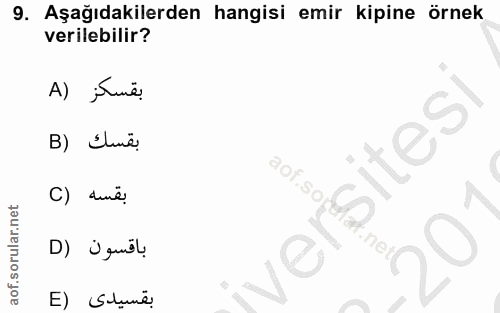 Soru 9