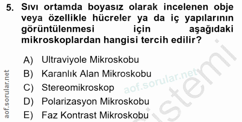 Soru 5