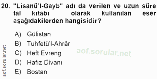 Soru 20