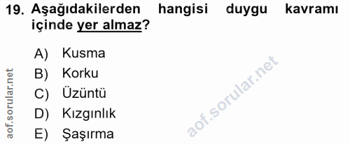 Soru 19