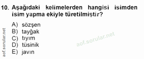 Soru 10