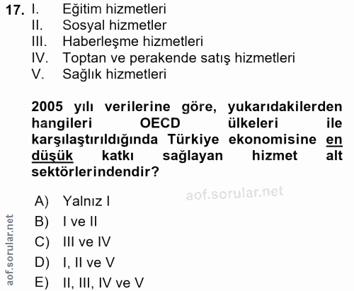 Soru 17
