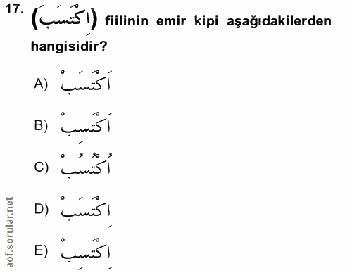 Soru 17