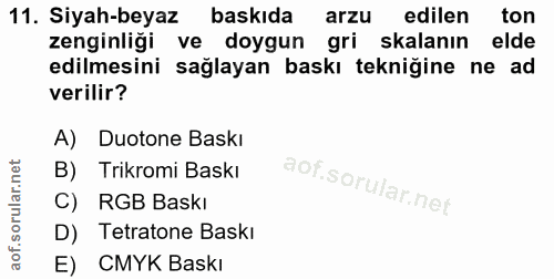 Soru 11