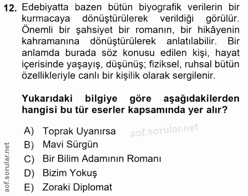 Soru 12