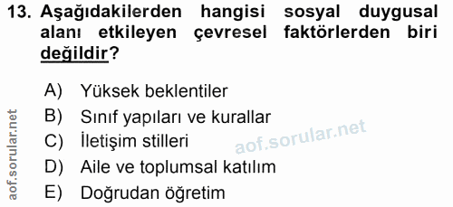 Soru 13