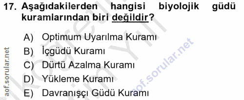 Soru 17
