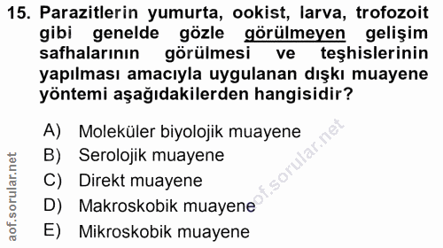 Soru 15