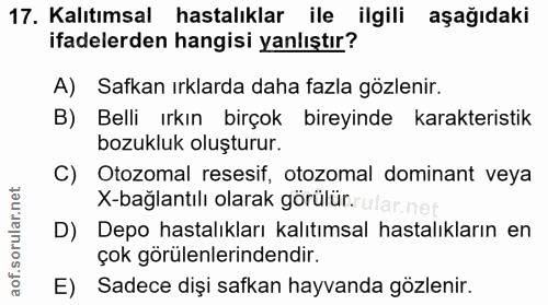 Soru 17