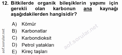 Soru 12