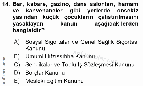 Soru 14