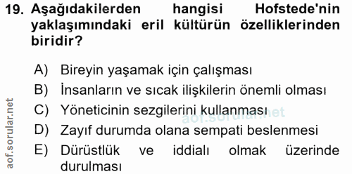 Soru 19