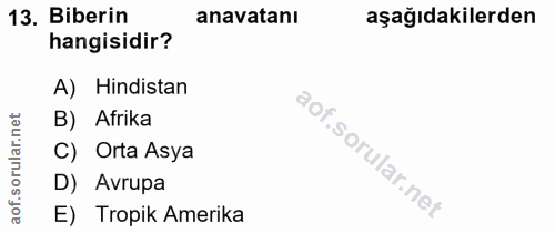 Soru 13
