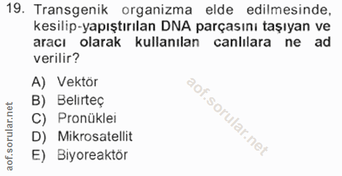 Soru 19