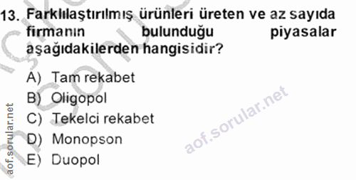 Soru 13