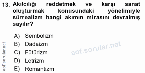 Soru 13
