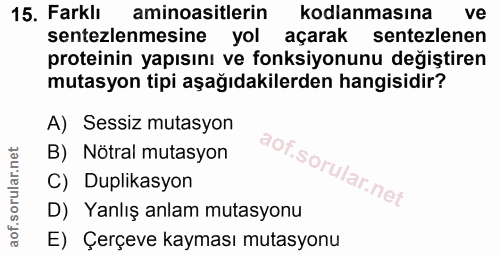Soru 15