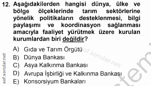 Soru 12