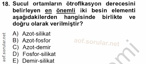 Soru 18