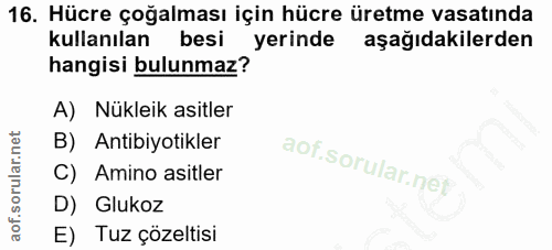 Soru 16