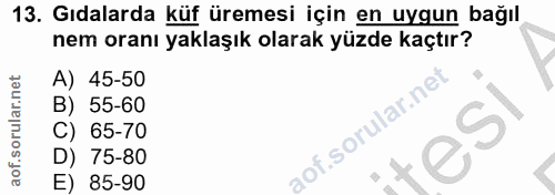 Soru 13