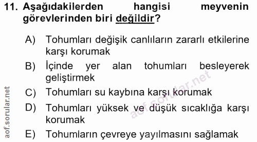 Soru 11