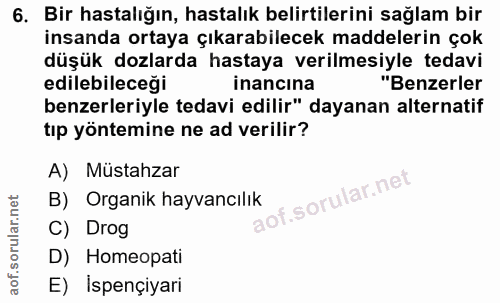 Soru 6