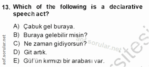 Soru 13