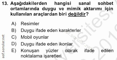 Soru 13