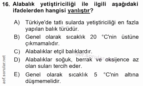 Soru 16