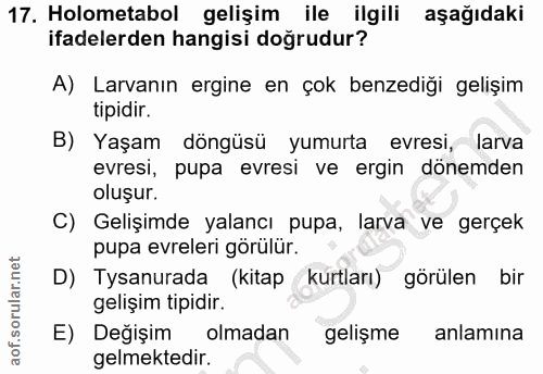 Soru 17