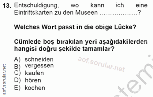 Soru 13