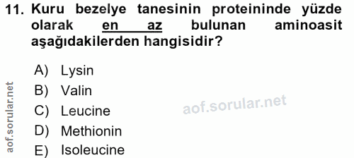 Soru 11