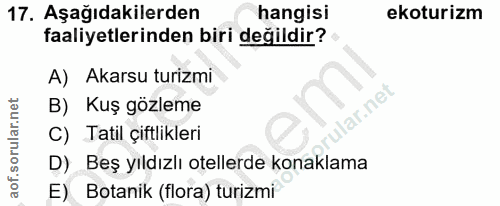 Soru 17