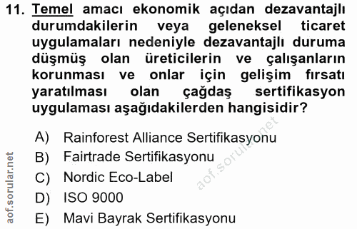 Soru 11
