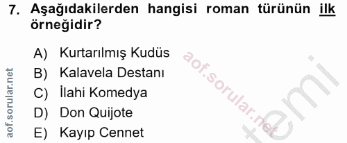 Soru 7