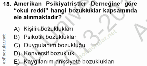 Soru 18